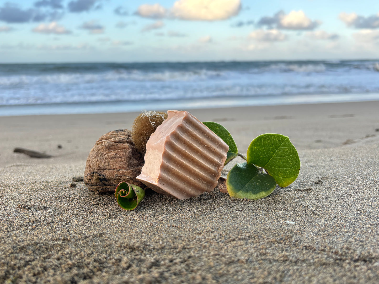 Cinnamon Bar Soap