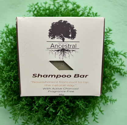 Shampoo Bar Rosemary & Green Tea
