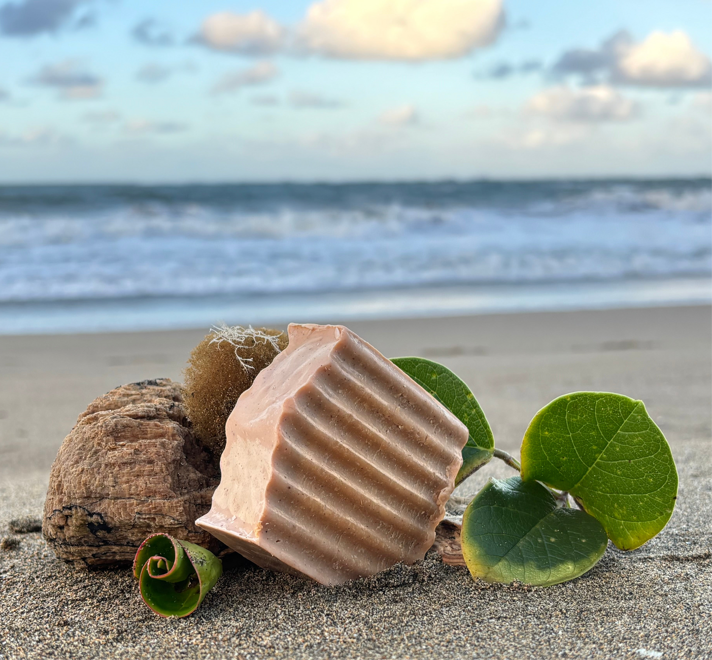 Cinnamon Bar Soap